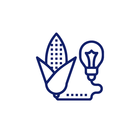 Energia-biomasa